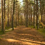 Lovely Nest In Nomme