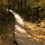 Lovely Nest In Nomme *