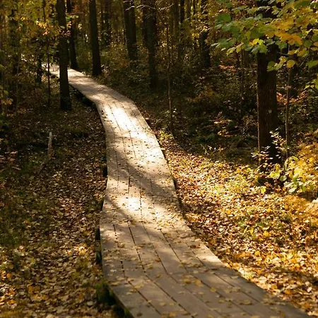 Lovely Nest In Nomme *